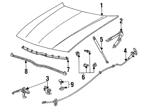 1993 Mercury Sable Hood & Components Support Cylinder Diagram for F2DZ16C826B