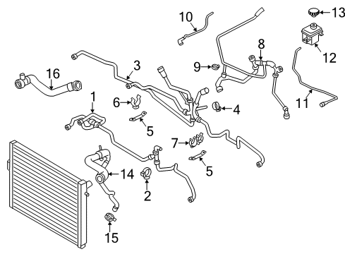 2014 BMW M5 Hoses, Lines & Pipes Radiator Coolant-Lower Hose Diagram for 11537843264