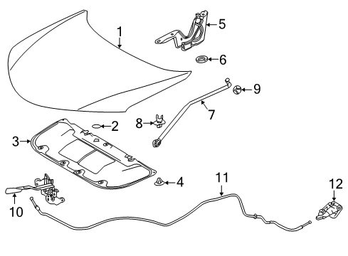 2013 Toyota RAV4 Hood & Components Support Rod Diagram for 534400R030