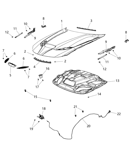 2016 Dodge Charger  Hood Hinge Diagram for 55113550AF