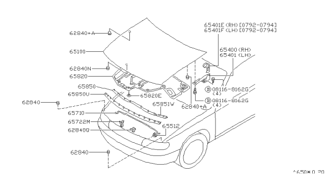 1993 Nissan Altima  Bumper-Hood Rod Diagram for 65721D4000