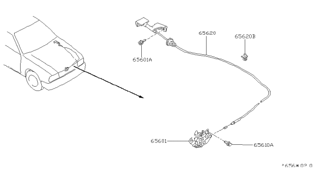 1996 Nissan Altima  Cable Assembly-Hood Lock Diagram for 656201E400