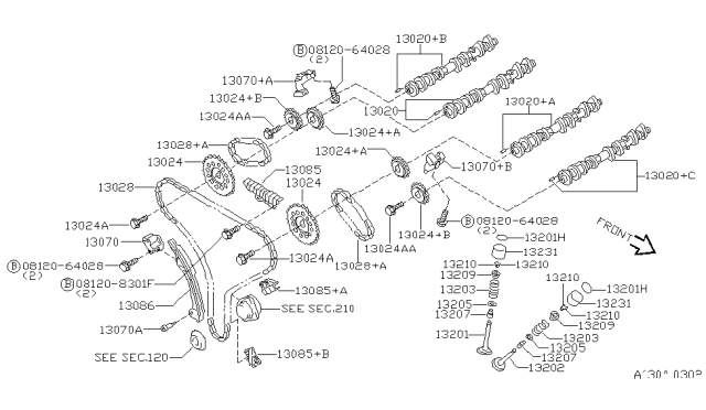 1999 Nissan Maxima  TENSIONER Chain Diagram for 1307031U02