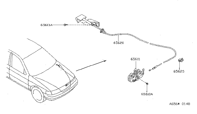 1995 Nissan Sentra  Cable Hood Lock Diagram for 65620F4300