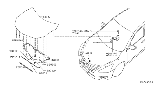 2018 Nissan Sentra  Hood Assembly Diagram for F51003YUMA