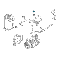 Genuine Ford A/C Service Cap diagram