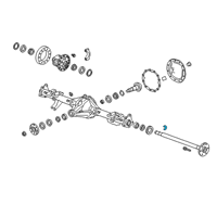 Genuine Ford Axle Bearing Lock Rings diagram