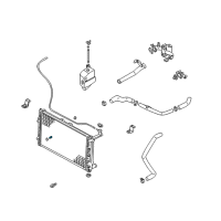 Genuine Ford Radiator Drain Plugs diagram
