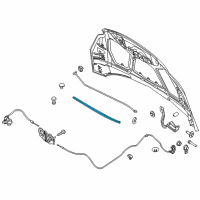 Genuine Ford Front Seal diagram