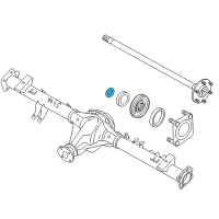 Genuine Ford Wheel Bearing Retainer diagram