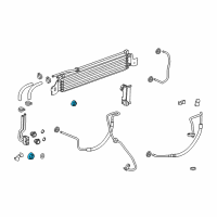 Genuine Chevrolet Automatic Transmission Oil Cooler Line Connector diagram