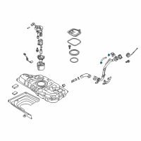 Genuine Toyota Fuel Line Clip diagram