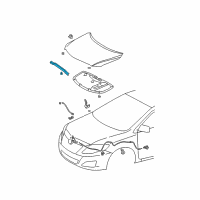 Genuine Toyota Seal, Hood To Radiator Support diagram