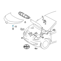 Genuine Toyota Hood Tape diagram