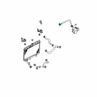 Genuine Ford Hose Clamp diagram
