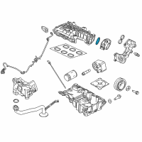 Genuine Ford Intake Manifold O-Ring diagram