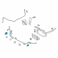 Genuine Ford Automatic Park Sensor diagram