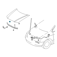 Genuine Toyota Plug, Hole diagram
