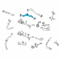 OEM 2018 Cadillac CT6 Upper Hose Diagram - 23436683