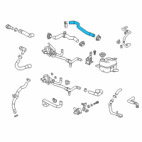 OEM 2016 Cadillac CT6 Lower Hose Diagram - 23436684