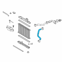 OEM 2017 Lexus ES350 Hose, Radiator, NO.2 Diagram - 16572-31390