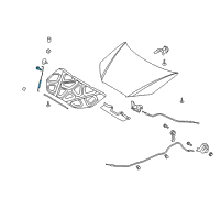 OEM 2011 Hyundai Elantra Rod Assembly-Hood Stay Diagram - 81170-2L000