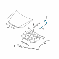 OEM 2008 Kia Spectra5 Rod Assembly-Hood Stay Diagram - 811702F000