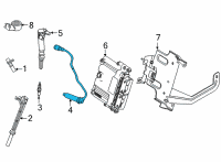 OEM 2019 Ford E-350 Super Duty Plug Wire Diagram - HC2Z-12286-C