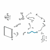 OEM 2007 Cadillac SRX Lower Hose Diagram - 25800334