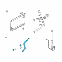 OEM Kia Amanti Hose-Radiator, Lower Diagram - 254153F100