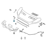 OEM Ford Transit-350 Door Check Screw Diagram - -W505255-S442