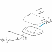 OEM 2013 Buick LaCrosse Strut Asm-Hood Diagram - 15924968