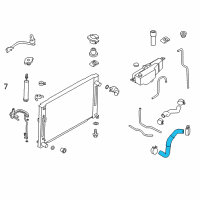 OEM Infiniti G35 Hose-Lower Diagram - 21503-1NA0A