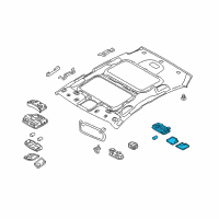 OEM 2013 Kia Optima Lamp Assembly-Room Diagram - 928503R010AMC