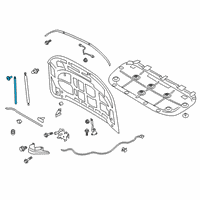 OEM 2020 Ford Ranger Side Weatherstrip Diagram - KB3Z-16A238-B