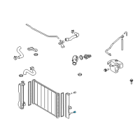 OEM 2009 Pontiac Vibe Plug, Radiator Drain Diagram - 19204100