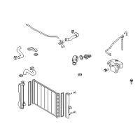 OEM Pontiac Vibe Seal, Radiator Drain Plug Diagram - 19204102