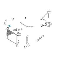 OEM 2010 Pontiac Vibe Cap, Radiator Filler Diagram - 19204980