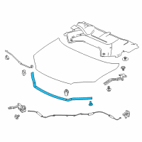 OEM Honda Pilot Seal, Hood Rubber Diagram - 74146-TG7-A01