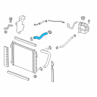 OEM 2012 Chevrolet Captiva Sport Upper Hose Diagram - 19257214