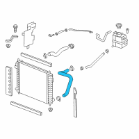 OEM 2012 Chevrolet Captiva Sport Lower Hose Diagram - 19258624