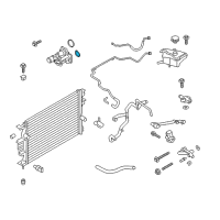 OEM 2015 Ford Fiesta Thermostat Lower Seal Diagram - 4M5Z-8255-A