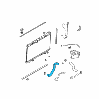 OEM 2004 Nissan Maxima Hose-Radiator, Lower Diagram - 21503-8J100