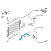 OEM 2013 Ford Escape Upper Hose Diagram - CV6Z-8260-N