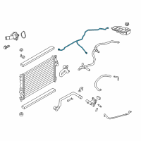 OEM 2013 Ford Escape Overflow Hose Diagram - CV6Z-8B081-Z