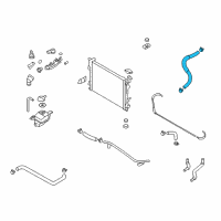 OEM Hyundai Sonata Hose Assembly-Radaator, Lower Diagram - 25415-3K200