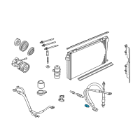 OEM 2004 Ford Crown Victoria Valve Assembly Diagram - 1L2Z-19D644-AA