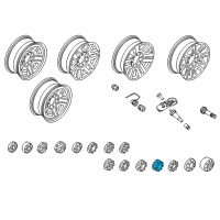 OEM 2017 Ford F-250 Super Duty Wheel Cap Diagram - HC3Z-1130-Q