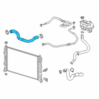 OEM 2020 Chevrolet Silverado 1500 Lower Hose Diagram - 84545554