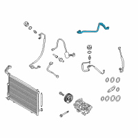 OEM 2021 Ford EcoSport Hose & Tube Assembly Diagram - CN1Z-19A834-F